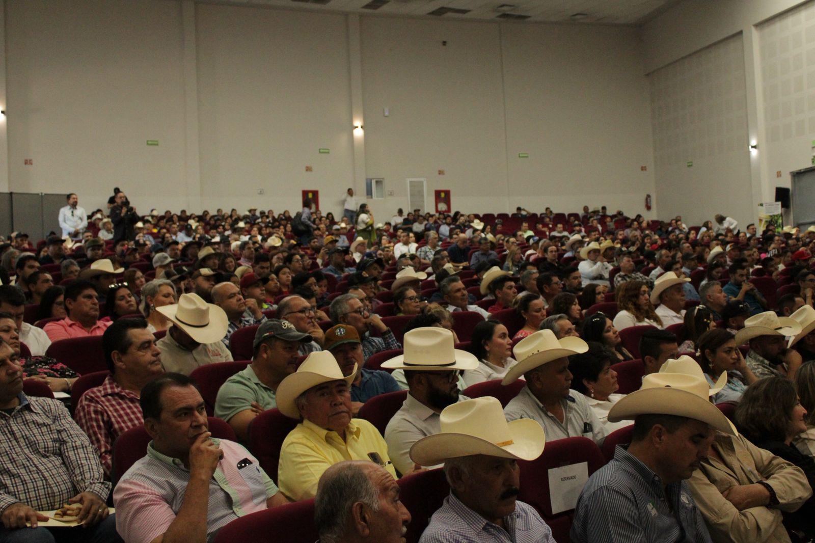 Gobierno de Sonora impulsa el Foro Regional Apícola para fortalecer la producción de miel